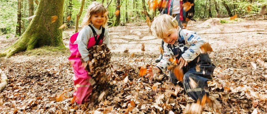 Fun and learning in the woods